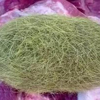 猪砂真的值钱么,多少钱一克